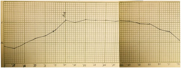 Steigers Sales Graph